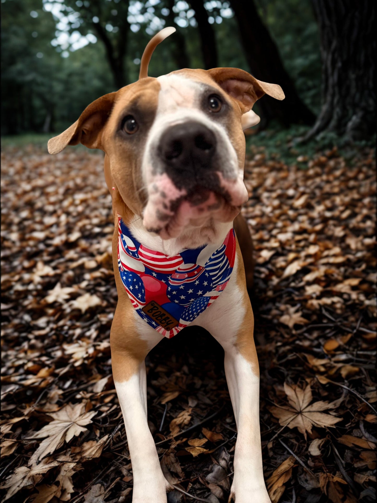 Customized Doggy Bandana