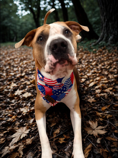Customized Doggy Bandana