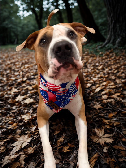 Customized Doggy Bandana